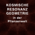 Kosmische Resonanzgeometrie in der Pflanzenwelt